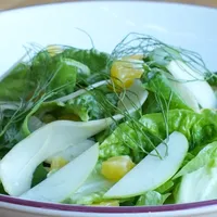 Insalata Di Carciofi E Finocchio